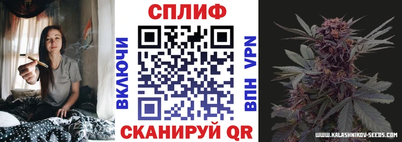 Марихуана сатива  Купить где  Зверево 